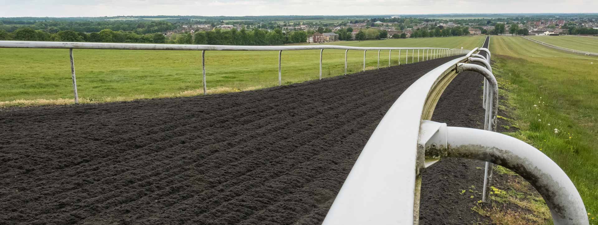 Ascot Gallops